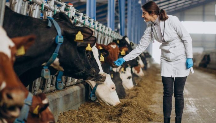 VETERINÁRIO