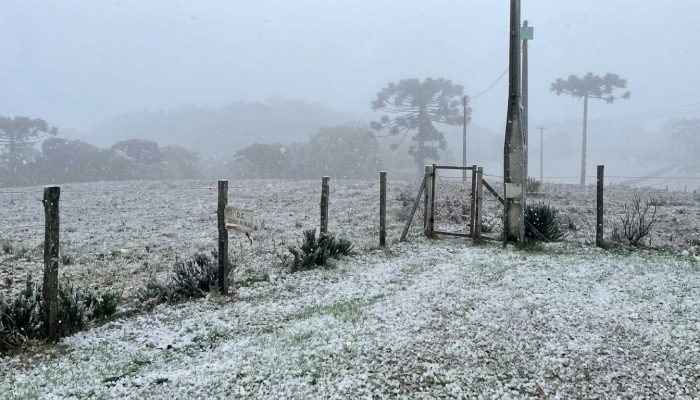 Defesa Civil garante apoio federal a 8 cidades do RS em emergência