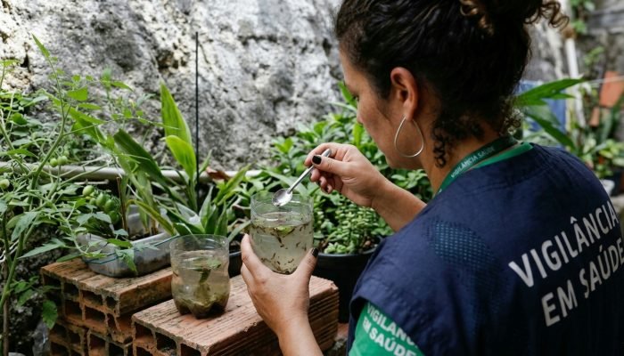 Estado de São Paulo registra mais de 58 mil casos de dengue e 42 óbitos neste ano