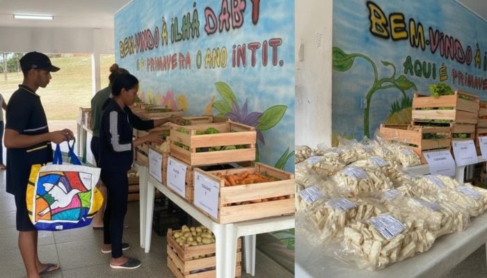 Programa de cestas verdes fortalece segurança alimentar em Vila Velha