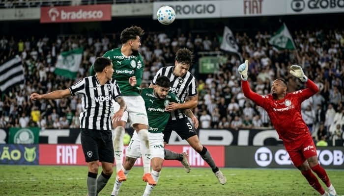 Reviravolta no Brasileirão: Botafogo empata com Palmeiras e Flamengo é o novo líder
